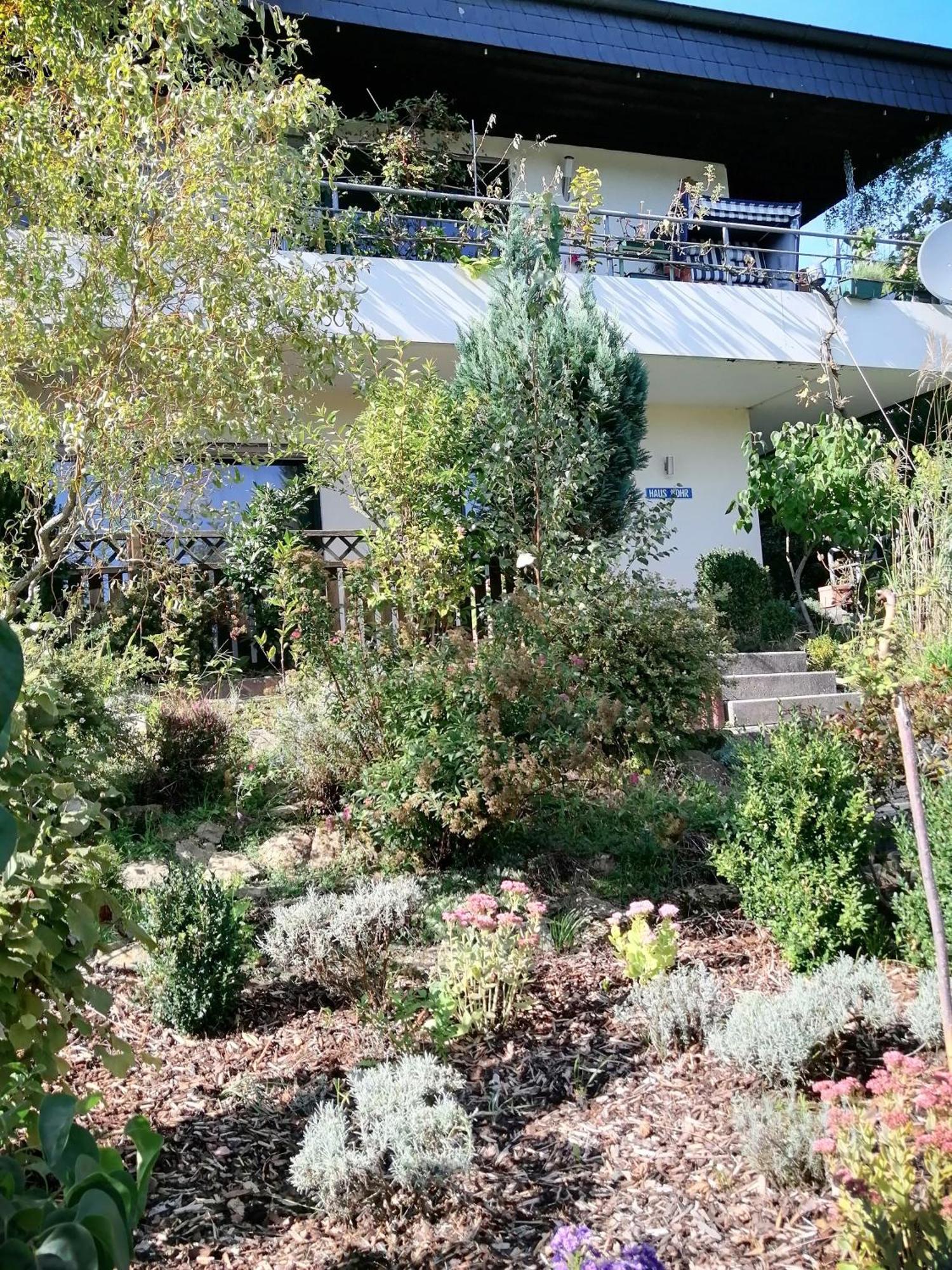 Haus Mohr - Ferienwohnung Im Taunus Weilmunster 외부 사진